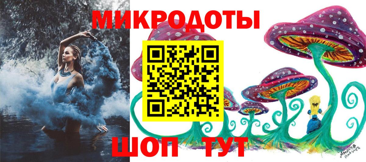Псилоцибиновые грибы Psilocybe Асбест